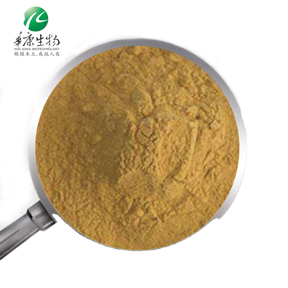 FSSC22000 Заводская поставка 25% полифенолы Yerba Mate экстракт порошка Yerba Mate чай экстракт