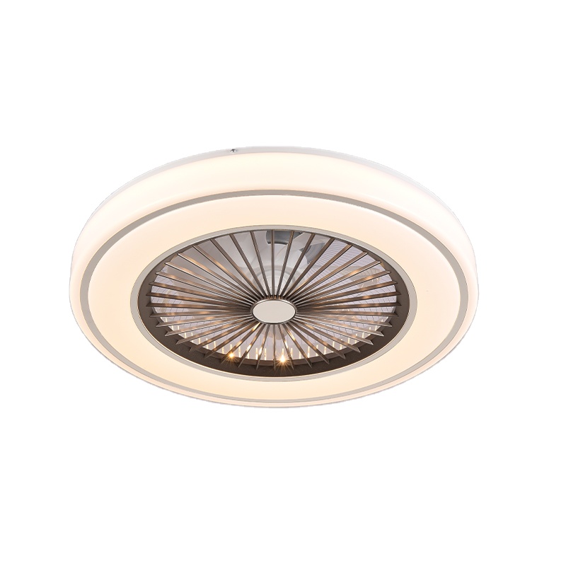 Drop shipping In Stock Professional Modern Nordic minimalist Led Ceiling Fan With Light And Remote Control