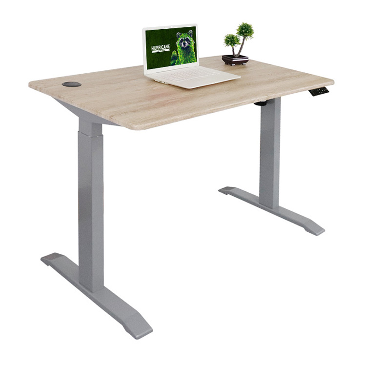 High Quality Sit-Stand Standing Intelligent Desk Height Adjustable Desk Office Germany