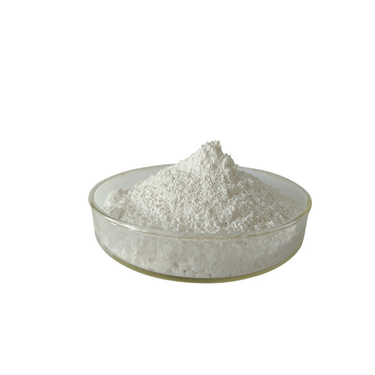 High Quality probiotic powder lactobacillus lactobacillus fermentum with best price