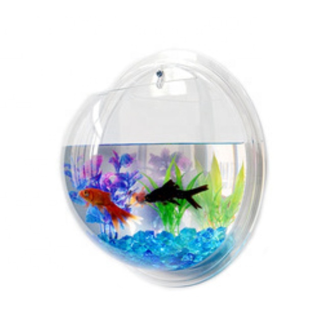 Acrylic Wall Hanging Acrylic Bowl Aquarium Vase Plant Round Small Fish Tank Aquarium