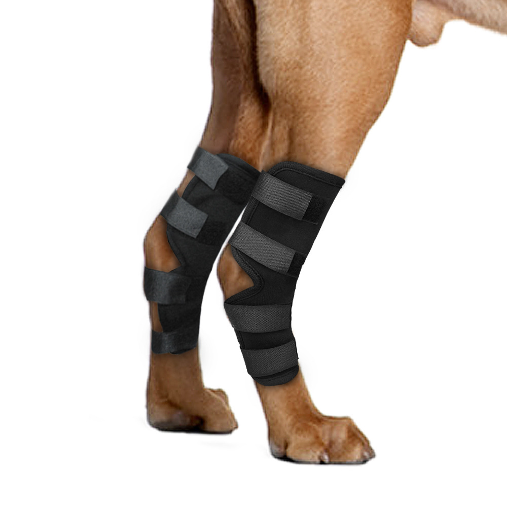 Adjustable and Durable Black Wraps Dog Leg Knee Brace Support Protector Compression Sleeve Dog Recovery Elbow