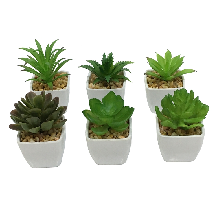 OEM /ODM Gift set of 6 mini succulent bonsai square shape Eco-friendly melamine flower pot for home decoration