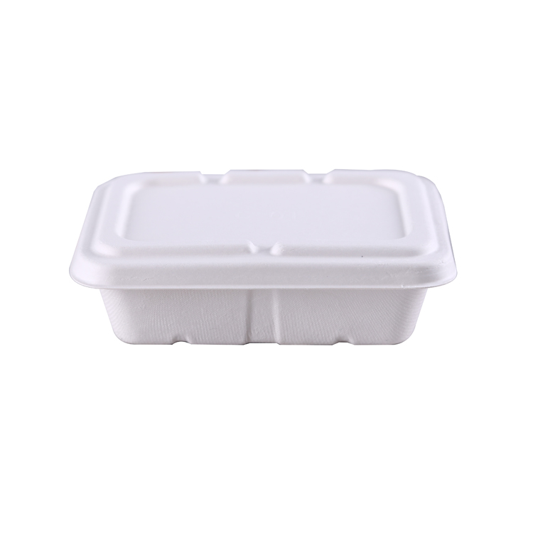 Biodegradable White Food Safe Sugarcane Pulp Paper Lunch Food Container with Lid