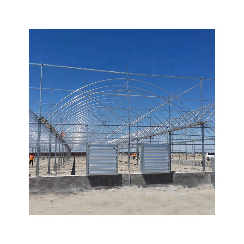 multi-span greenhouses smart Chinese green house PC film metal aluminium green's dwc system indoor farm