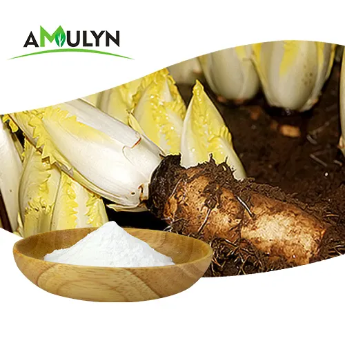 Factory supply inulin chicory root extract powder 100% natural chicory root inulin