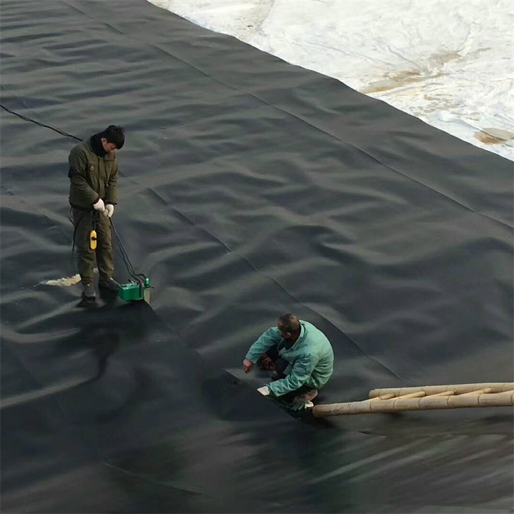 Высококачественная пленка HDPE геомембрана, подкладка для рыбного пруда