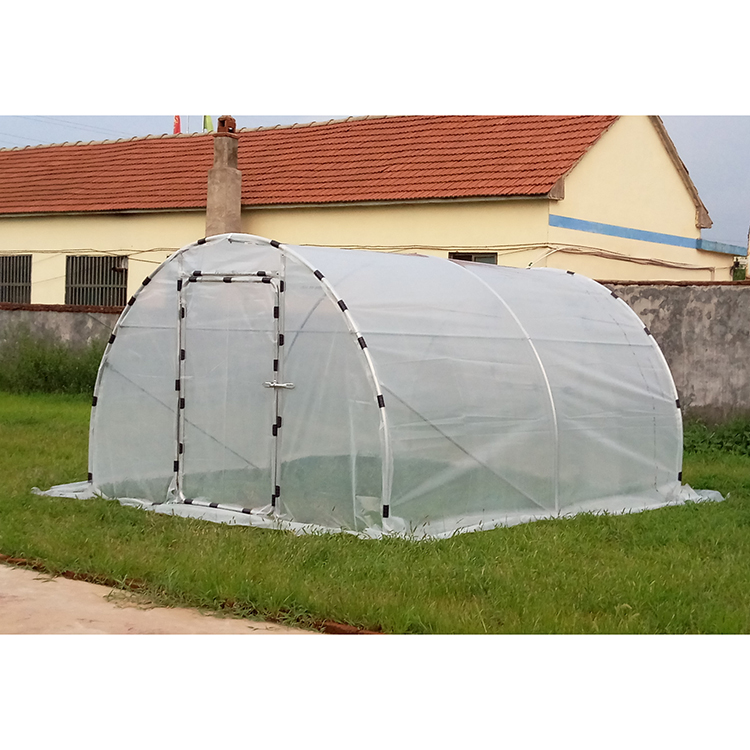 W8xL9xH3.8m Cheap fruit vegetable flower greenhouse tent for sale