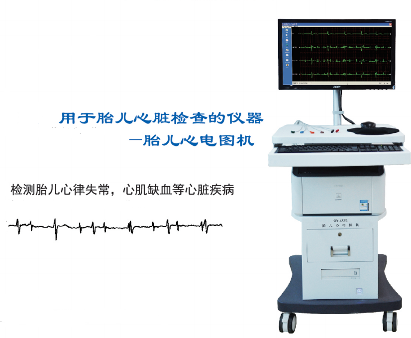 Friendly Fetal Electrocardiograph