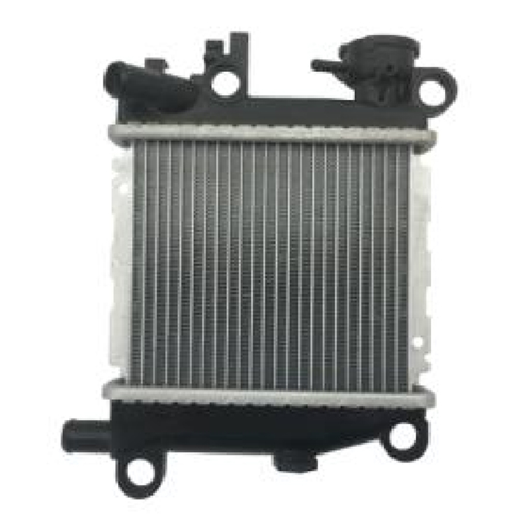 Радиатор мотоцикла в сборе Mio125i / XEON125i