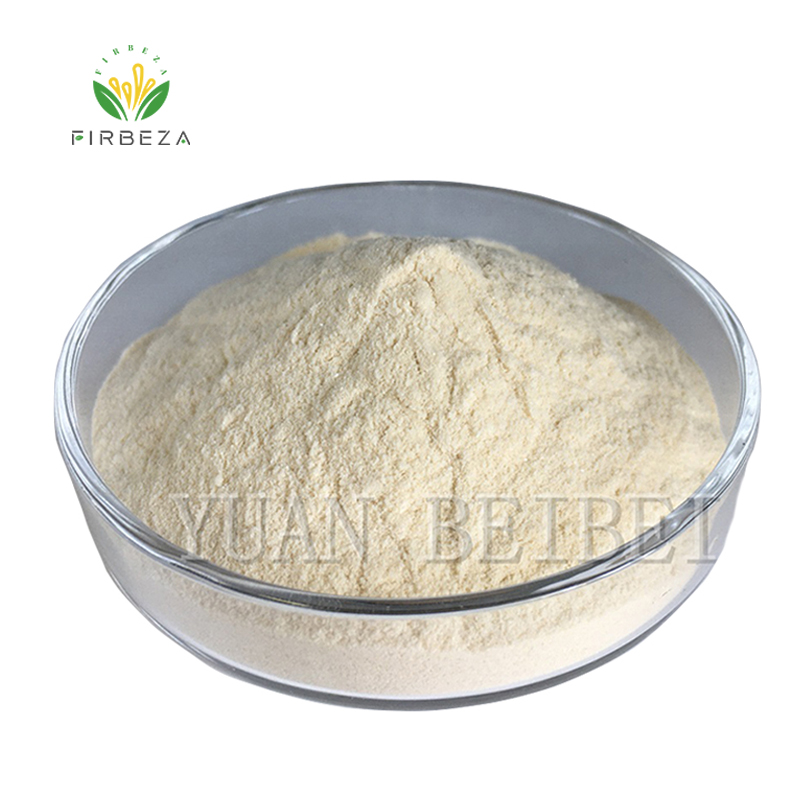 100% Organic Wholesale Price Green Tea Extract 98% Epicatechin Powder