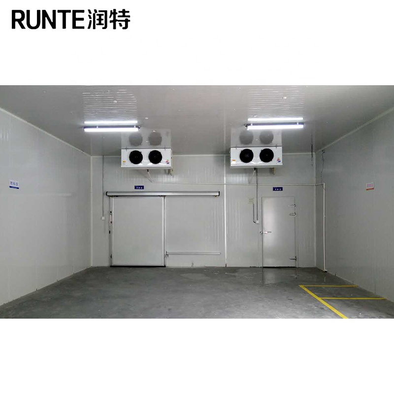 RUNTE walk in cold room fish frozen cold room seafood freezer chamber for ice cream