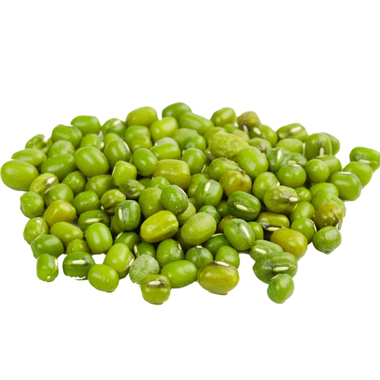 Sprouting Green Mung Bean Seeds for sale Factory price