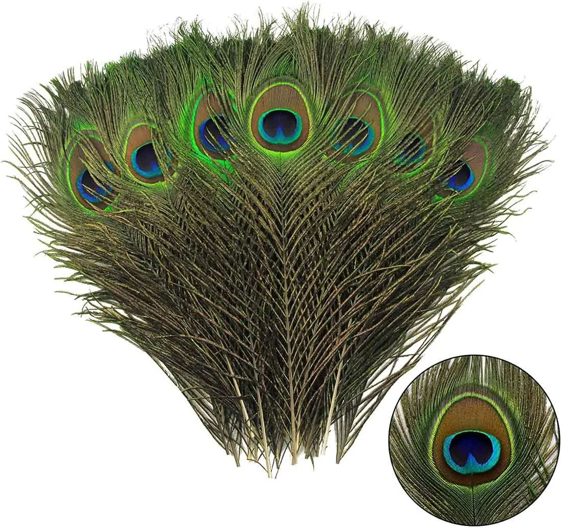 High Quality And Popular Factory Direct Sales Diy Decor Feather Material Real Natural Peacock Feather For Sale Carnival Feathers
