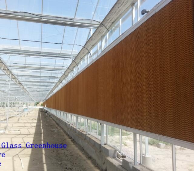Greenhouse solar cooling system