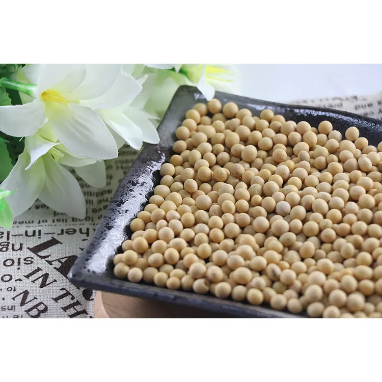 Made in China Soybeans Superior Quality Yellow Bean Frozen Common Soya Bean Seeds