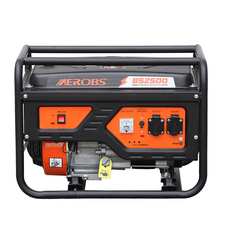 650W 1000W 2500W 3000W 5000W 6500W 8500W бензиновый генератор электрические генераторы цены (BS2500)