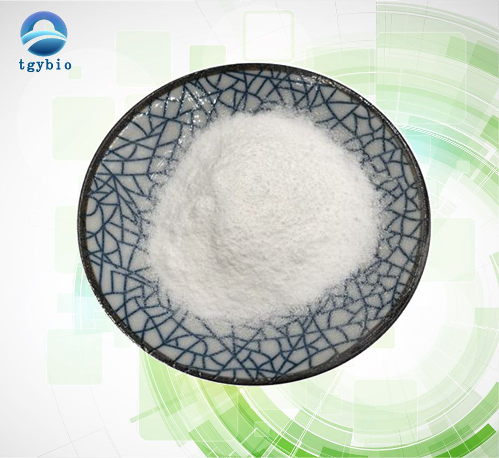 Hot Sale Probiotics Powder Bifidobacterium Bifidum