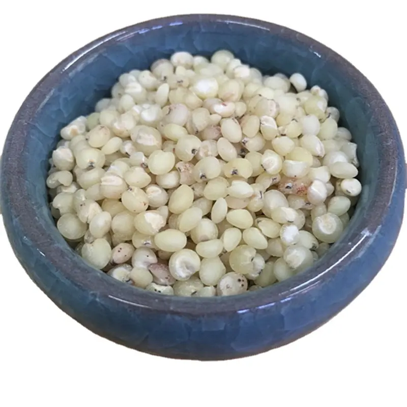 2022 new crop Chinese grain raw White Sorghum buyers price