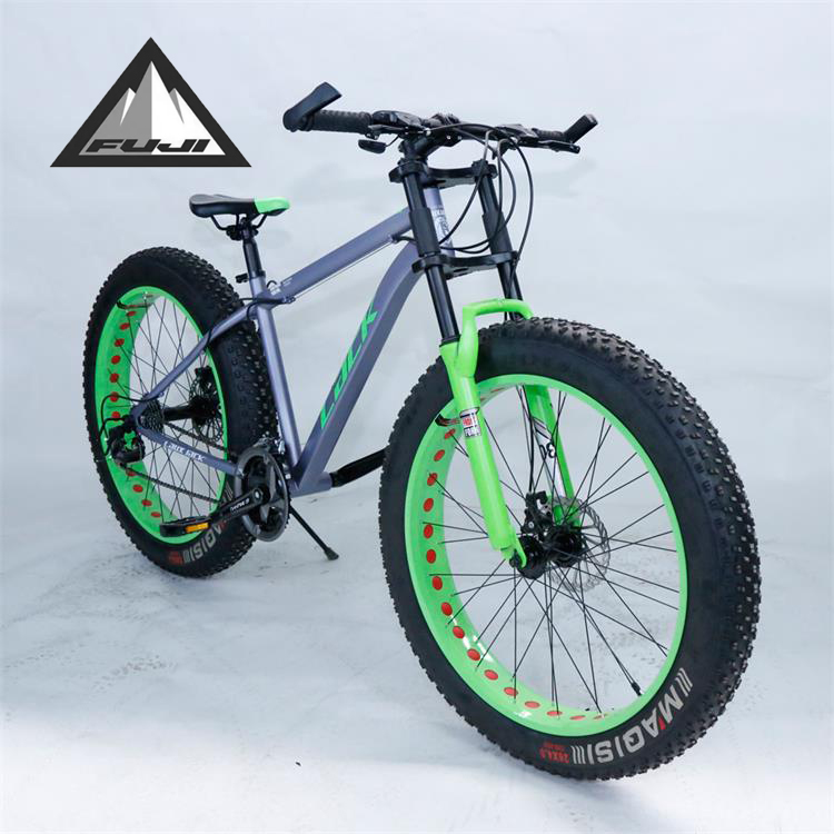 FUJI китайского производителя горные eurobike дорожные велосипедные шлемы с толстыми покрышками с изображением заснеженной горы устройство для велосипедов, Байков