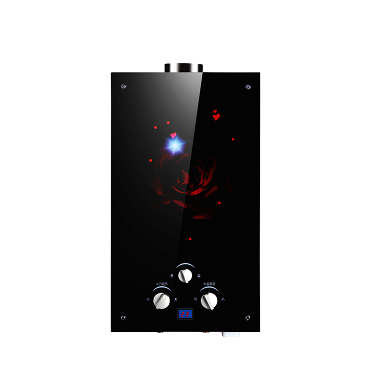 Glass panel LPG propane instant gas water heater 6L 8L 10L hot water heater