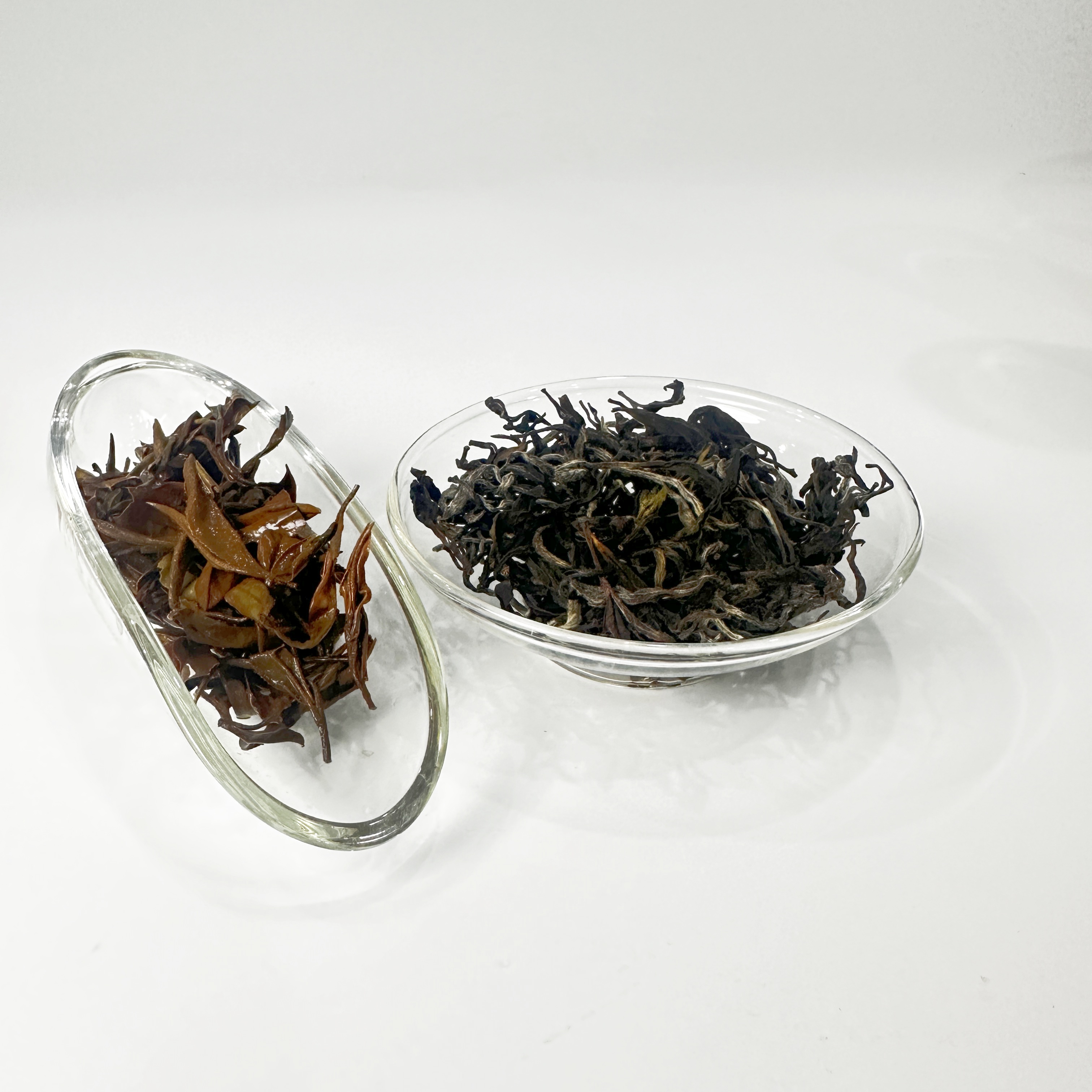 The Taste of World Champion- Elegant Fruit Nut Flavor Organic Chinese White Tea High Mountain Snow Buds Good Tasted