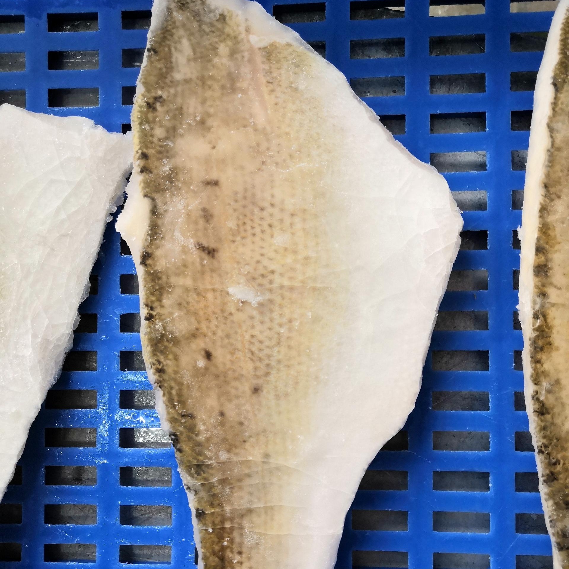 Горячая распродажа высокое качество морепродуктов замороженных рыбы Замороженные морской окунь филе Lateolabrax japonicus