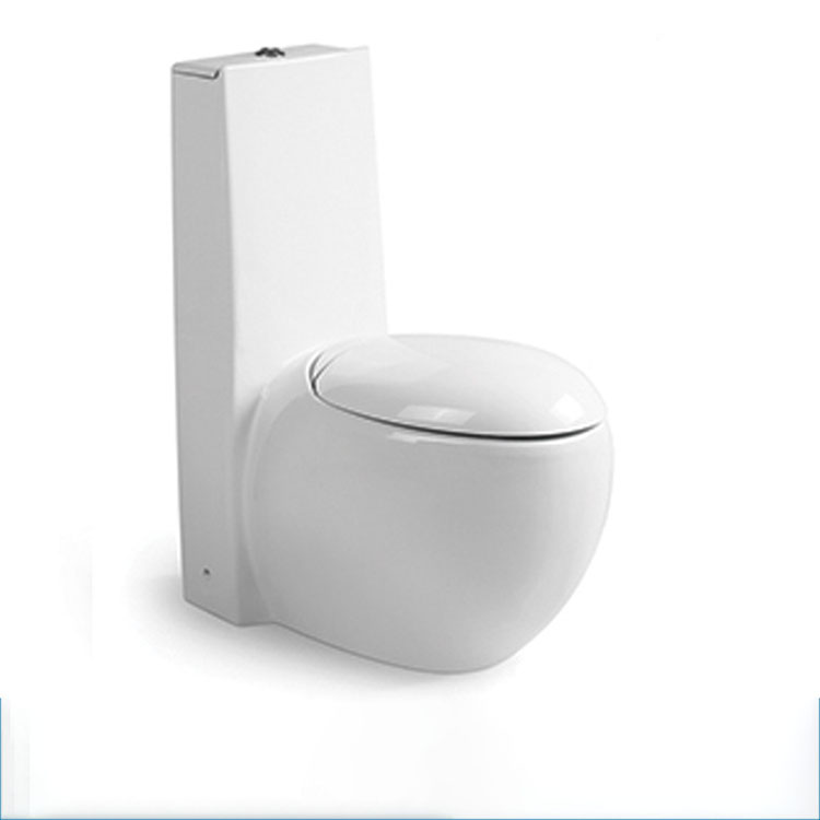 Wc American Standard One Piece Toilet Bowl Siphonic Flushing Water Closet Toilet