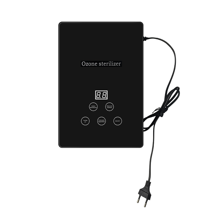 Wholesale and Retail portable Fruit and vegetable detoxification machine food active oxygen sterilizer