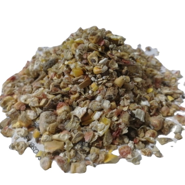 crushed corn for animal feed