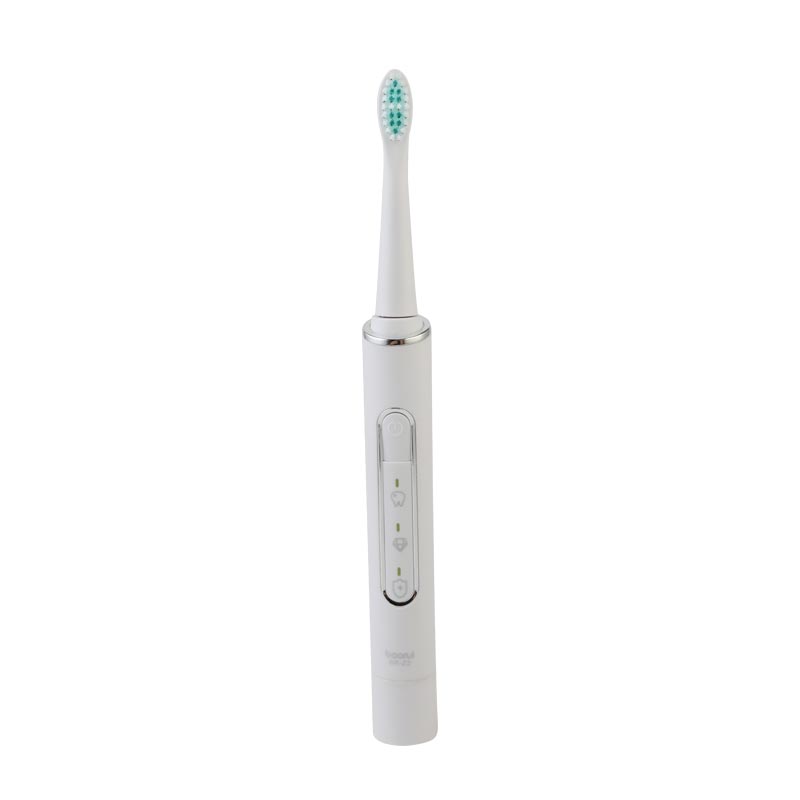 electric toothbrush vibrator IPX7 green white pink cheap bulk powered electric toothbrush usb charging 31000 vibration Z3
