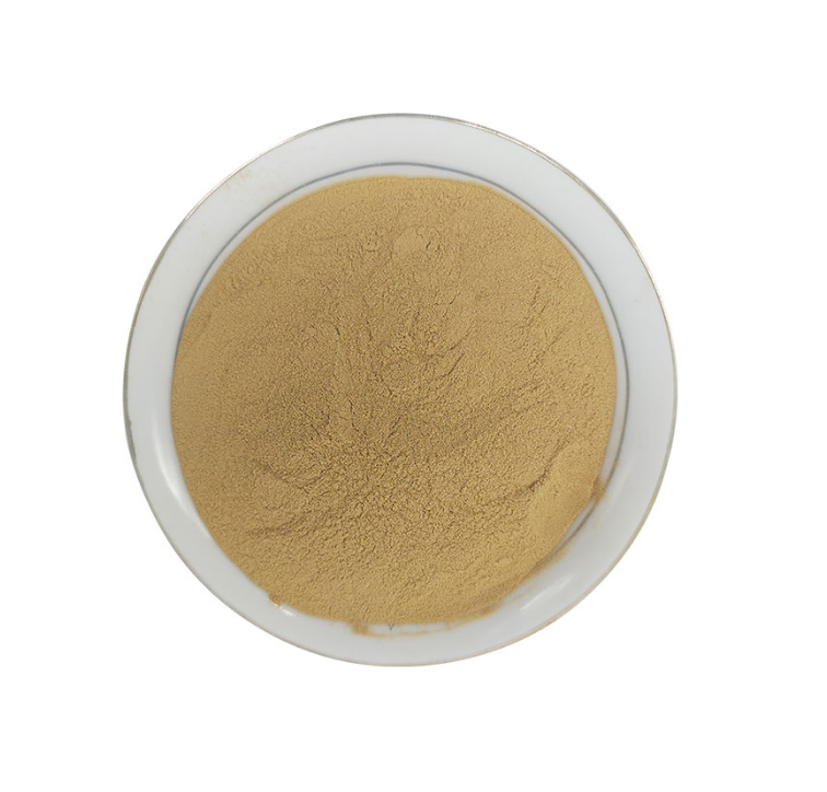 Organic ginger extract fresh ginger powder