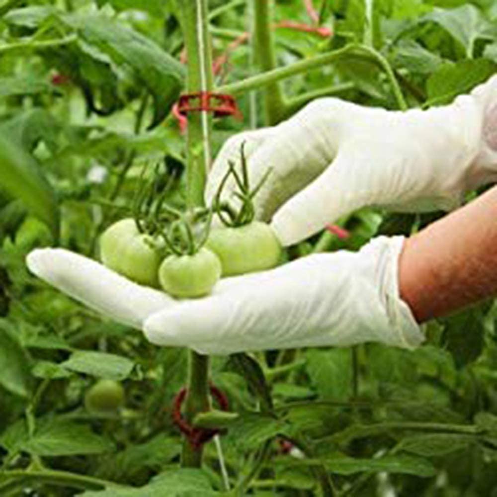 Фабричные одноразовые латексные перчатки, пылезащитные и газовые перчатки для личной защиты