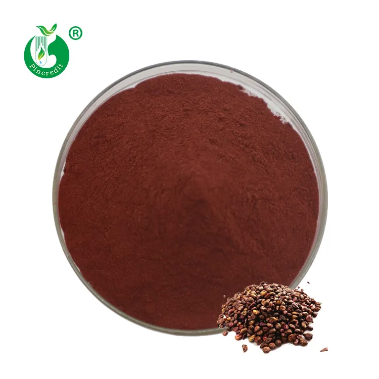 Natural Pure Grape Seed Extract OPC Powder 95% Proanthocyanidin