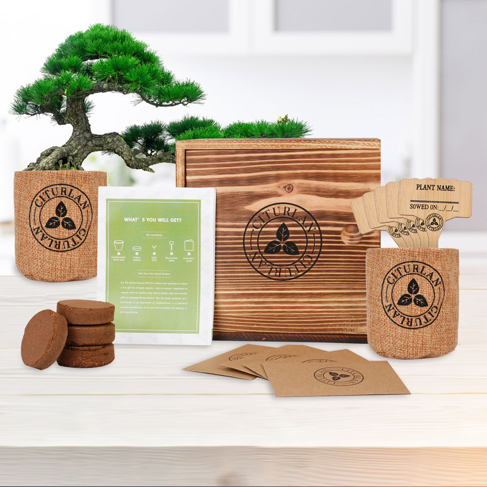 Bonsai Tree Growing Kit - Mini Small Flowers Plants - 4 Types of Seeds- Indoor Garden Gardening Gifts Idea