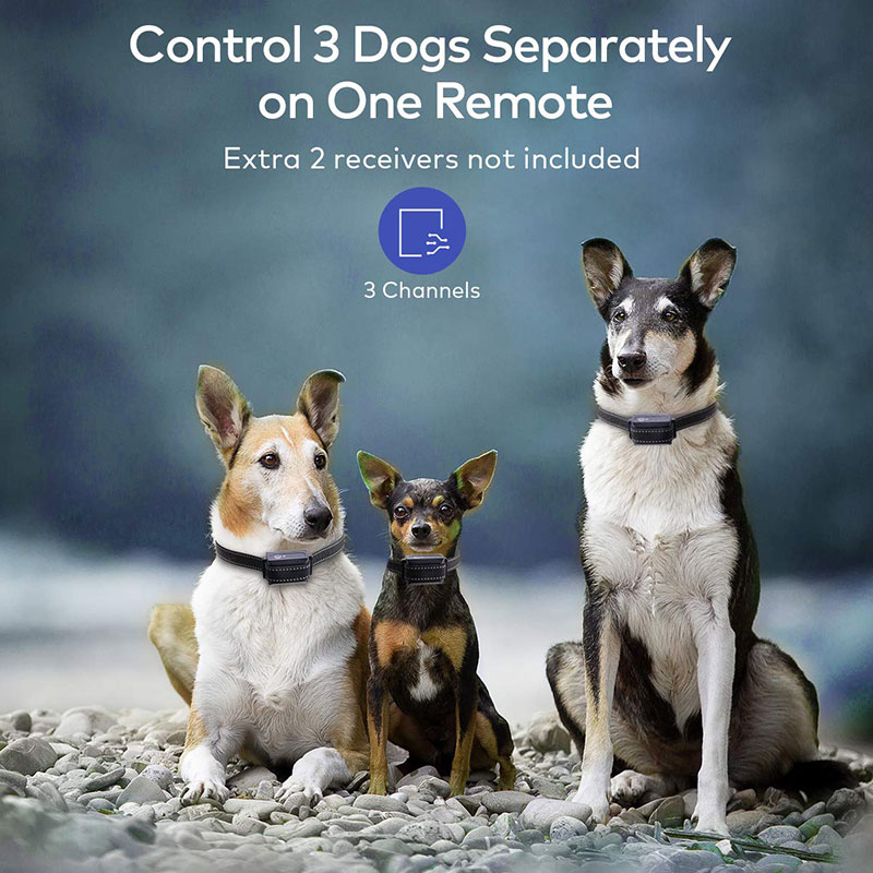 Educator Dog Training E Collar Dog Training Collar Walkie Talkie Dog Training Collar Test Light