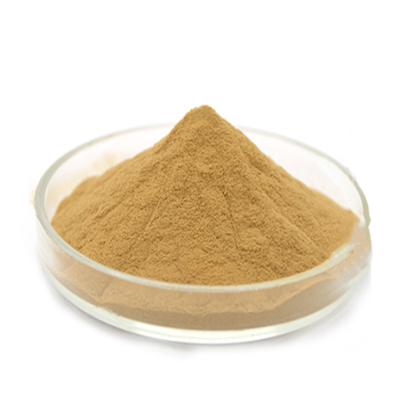 2021 New Arrivals Bacillus Cereus bulk Bacillus Cereus Powder