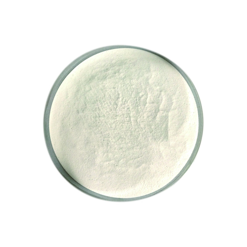 Hot Sale Best Price Chitosan Powder Chitosan