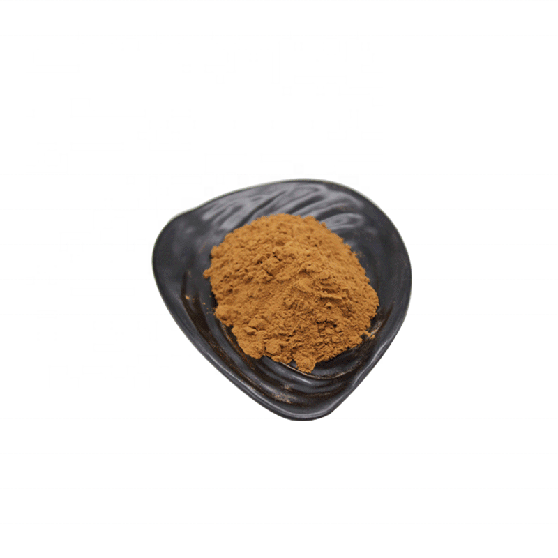 Antifatigue Lowering Blood Sugar Sea Cucumber Protein Powder for Health Care