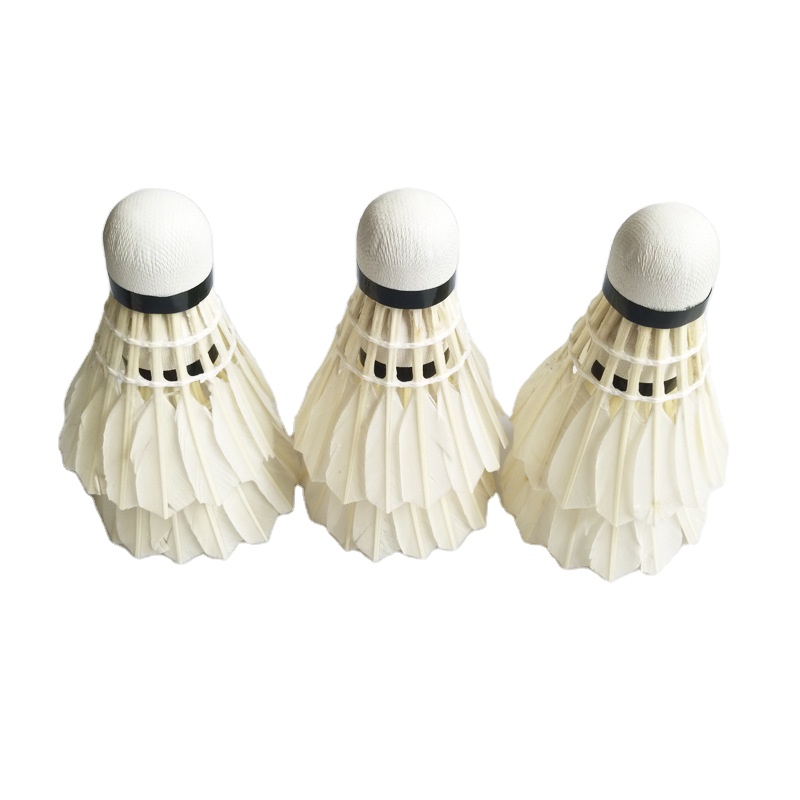 Badminton nylon Shuttlecocks 12 pack Outdoor Indoor Sports training Activities Birdies Shuttlecock