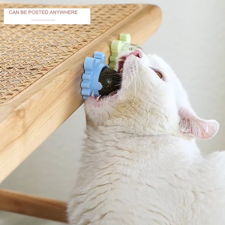 Top Ranking Pet Toy Kitten Cat Mint Toy funny Rotation Ball Catnip Balls for Cats Fresh breath