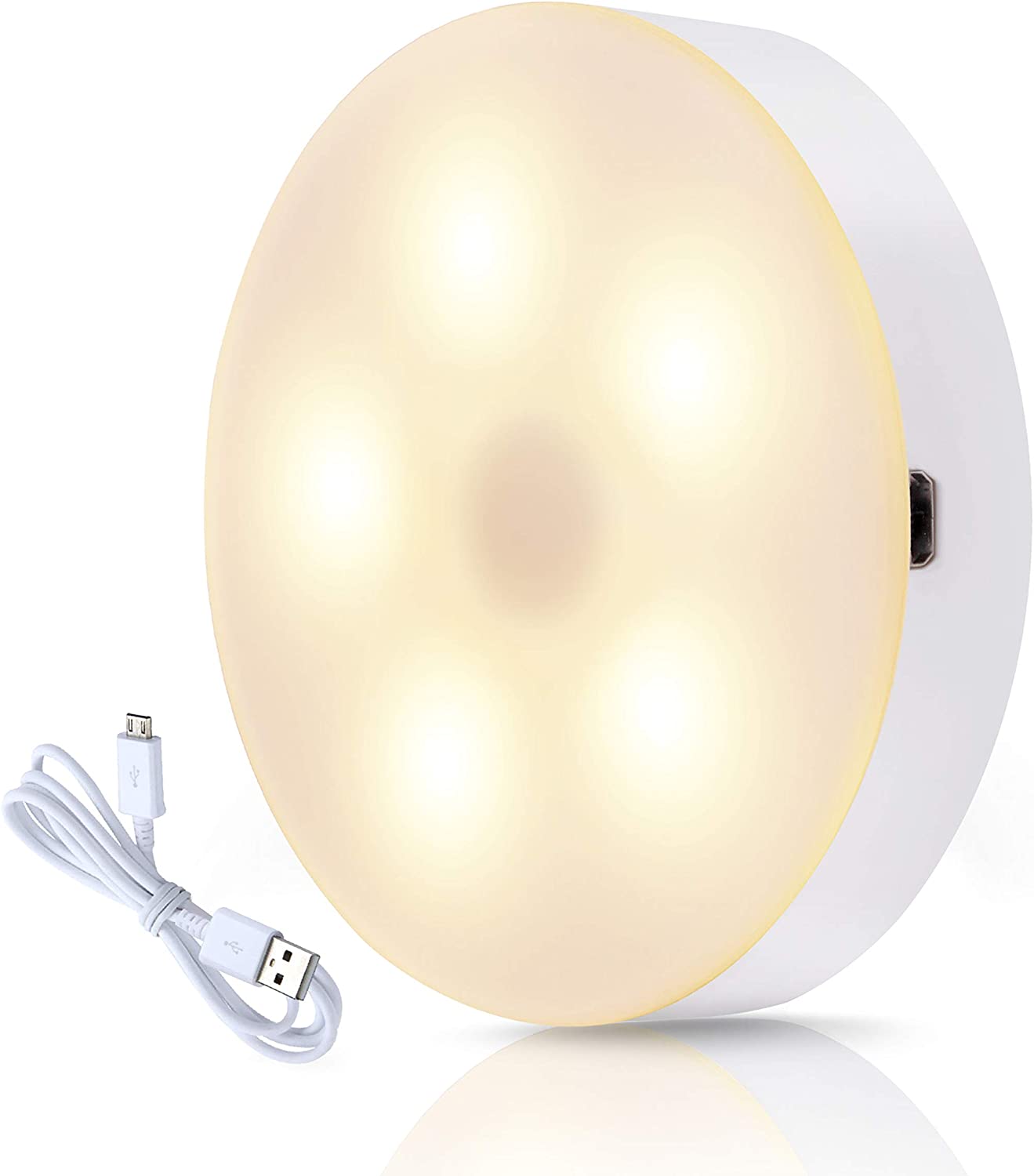 Motion Sensor Ceiling Light Battery Operated Wireless Motion Sensing Activated LED Light White 60 Lumen Indoor for Entrance