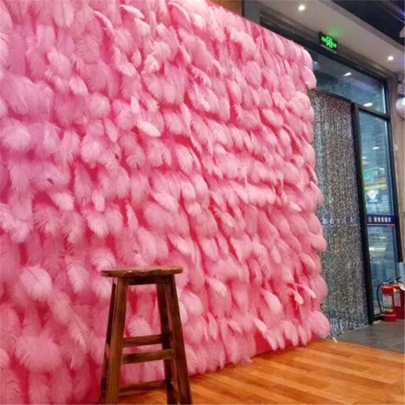 China supplier 15-20 cm dyed home decoration feather wall ostrich feathers for crafts