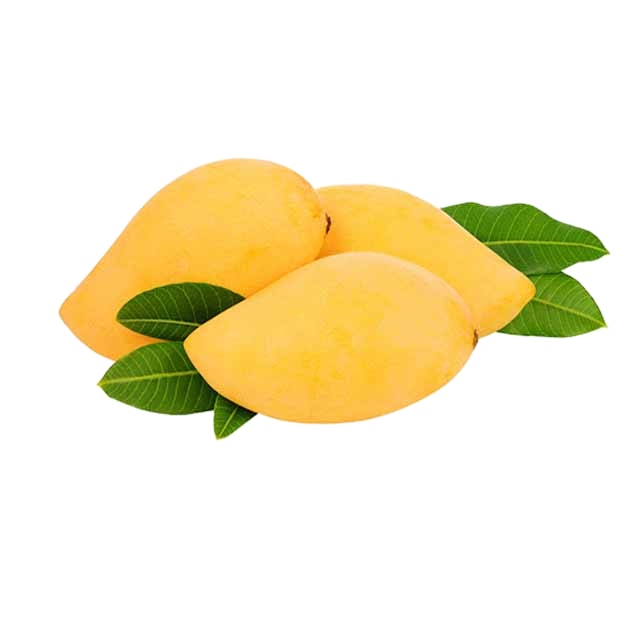 Fresh Mango Premium Grade From Thailand