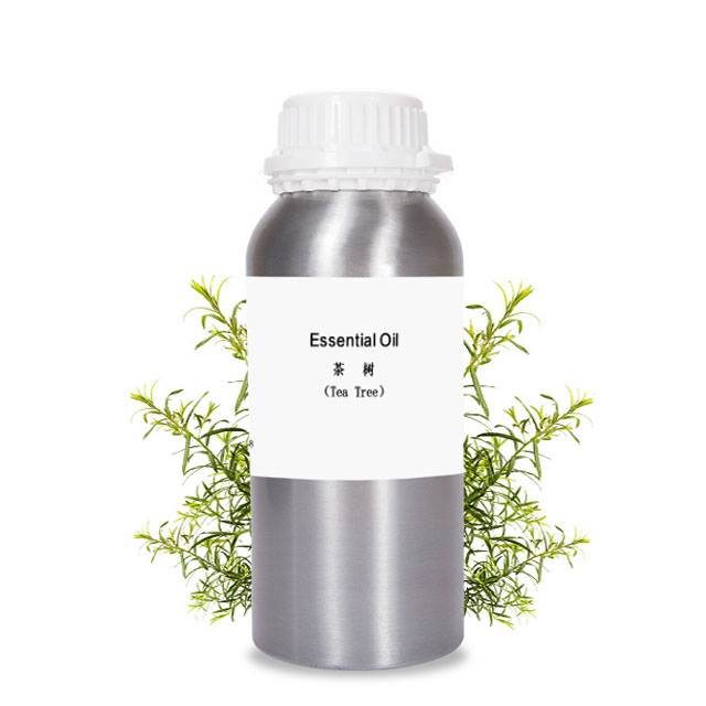 Pure Natural Organic Australian Tea Tree Essential OilTea tree Oil Bulk Wholesale