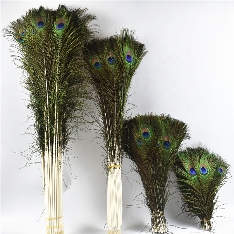 Natural 80-90cm peacock feather