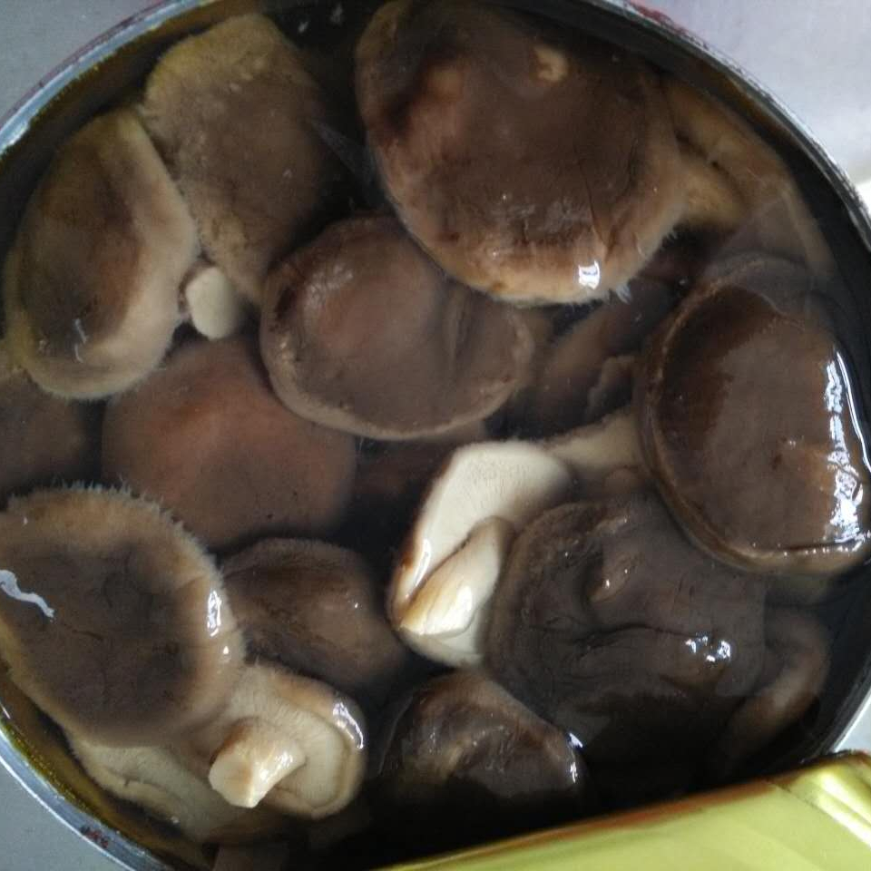 Shiitake маринованный 425 мл/850 мл в жестяных грибах 3 кг в рассоле 314 мл соленый шишаке чеснок 580 г 550 г 370 г в стеклянной банке без ГМО
