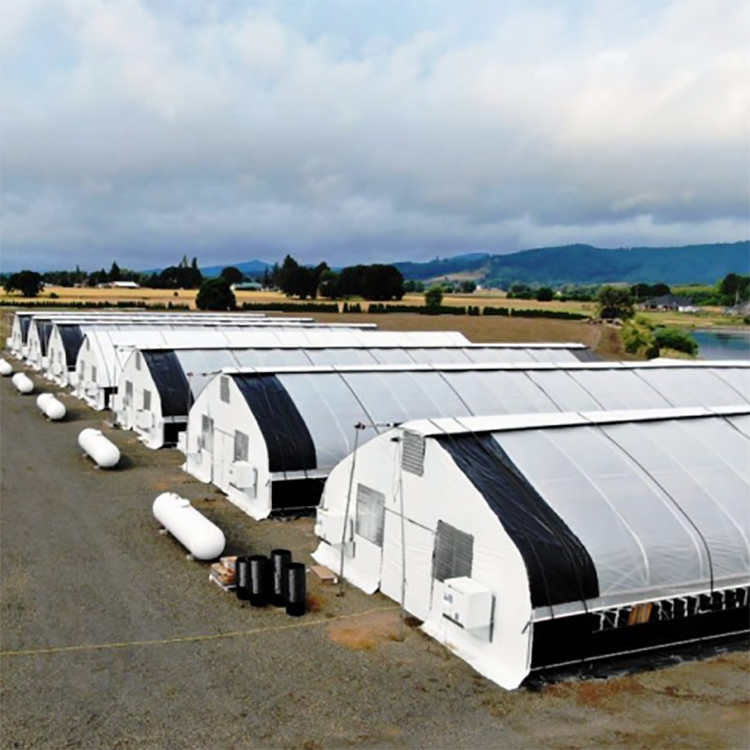 Mini tunnel greenhouse singlespan film commercial green house greenhouse black out light deprivation greenhouses