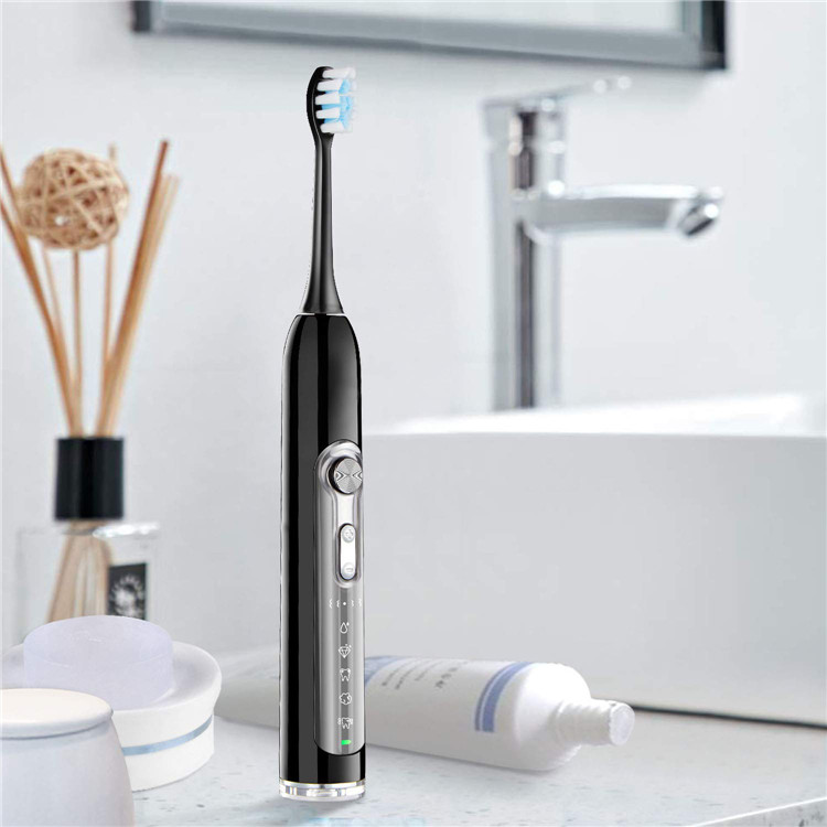 Dragon Hot Sale Factory Supply Portable Electric Toothbrush Travel Case
