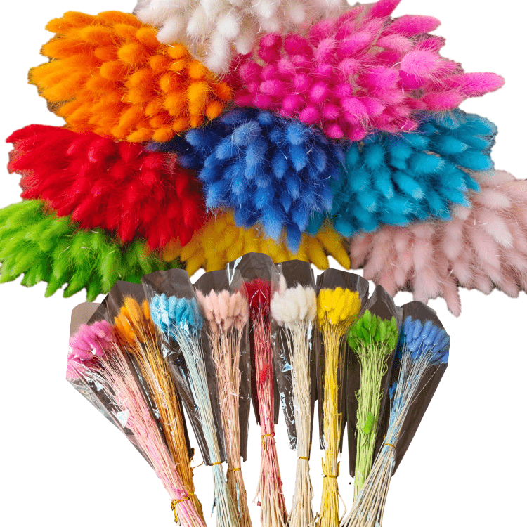 One bundle of 55 stems Dried bunny tails Home decoration Dried flower bouquet Dried Lagurus Ovatus plants flower